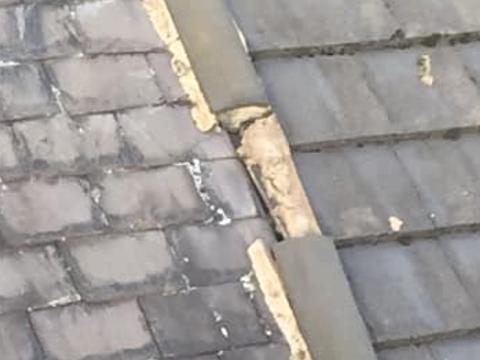 roof repair Burmantofts ridge tiles missing